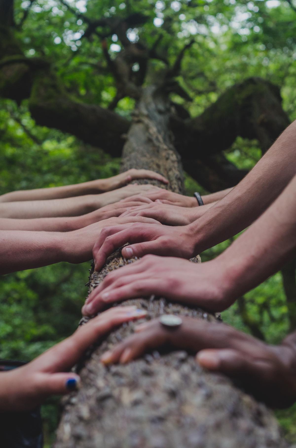 An image of diverse people holding hands, symbolizing fair housing for all individuals.